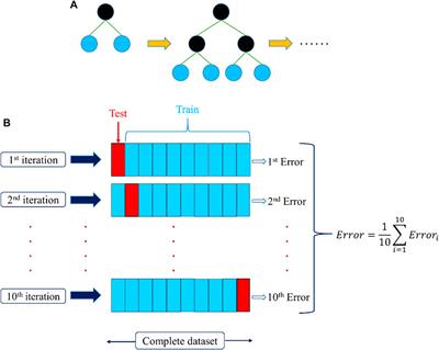 Frontiers | Developing an XGBoost Regression Model for Predicting Young ...