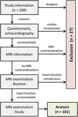 Reference centiles for left ventricular longitudinal global and regional  systolic strain by automated functional imaging in healthy Egyptian  children, Cardiology in the Young