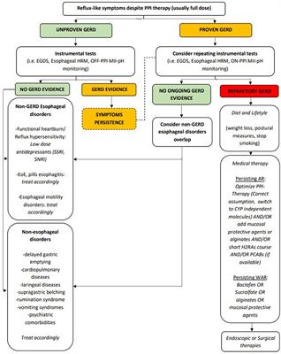 Multi-Society Consensus Conference and Guideline on the Treatment of  Gastroesophageal Reflux Disease (GERD) - A SAGES Publication