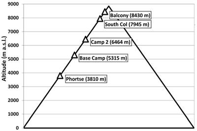 Cornhole Gear Talk