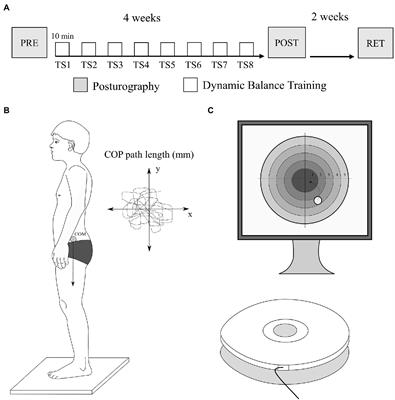 Frontiers Effects of Short-Term Dynamic Balance Training on Postural Stability in School-Aged Football Players and Gymnasts image image