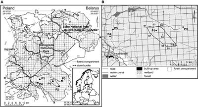 PDF) Reconstructing Historical Changes in Combustion Patterns by