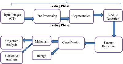 Frontiers | A Neural Network and Optimization Based Lung Cancer ...