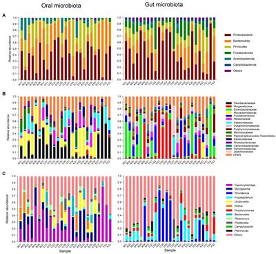 Comparative analysis of intestinal bacteria among venom secretion and  non-secrection snakes