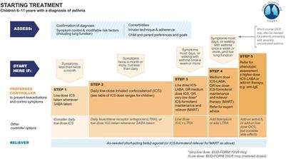 Frontiers | Doxofylline for Pediatric Asthma Steps 1–4. Pediatric ...