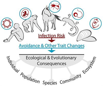 How Parasite Eve Was A Step In (Social) Evolution