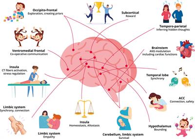 PDF) The Evolution of Communicative Intentions During Change Episodes and  Throughout the Therapeutic Process