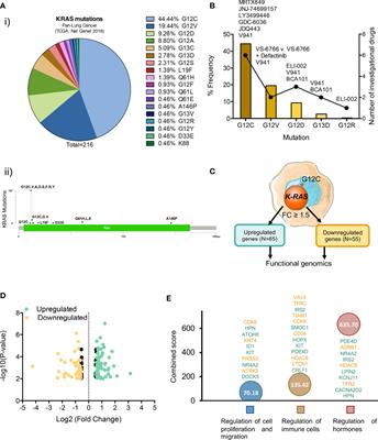 Transcriptomic Mapping of Non-Small Cell Lung Cancer K-RAS p.G12C Mutated Tumors: Identification of Surfaceome Targets and Immunologic Correlates