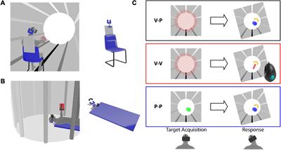 How Tilting the Head Interferes Cross-Modal of Transformations The Gravity - Visuo-Proprioceptive, Eye-Hand in With Coordination: Frontiers Sensory Role