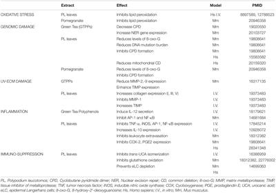 PDF] Hybrid Diffuse Reflectance Spectroscopy: Non-Erythemal in vivo Testing  of Sun Protection Factor