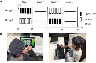 Frontiers | Examining the Effect of Transcranial Electrical Stimulation ...