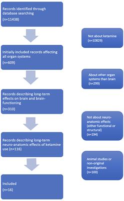 Frontiers | Brain Changes Associated With Long-Term Ketamine Abuse, A  Systematic Review