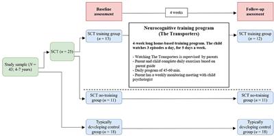 400px x 199px - Frontiers | Early Preventive Intervention for Young Children With Sex  Chromosome Trisomies (XXX, XXY, XYY): Supporting Social Cognitive  Development Using a Neurocognitive Training Program Targeting Facial  Emotion Understanding