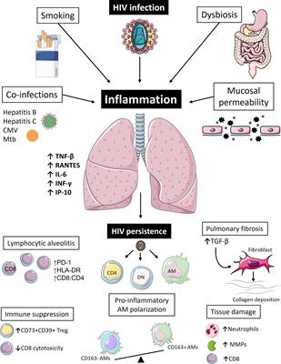 Defining total-body AIDS-virus burden with implications for