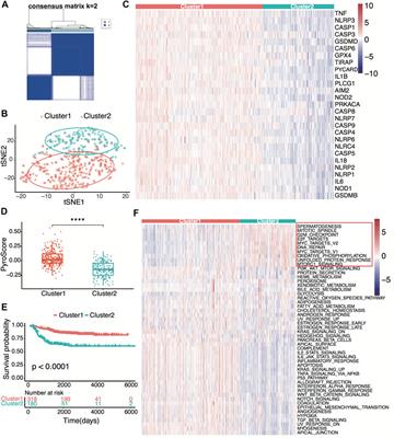 Frontiers | Pyroptosis-Related Gene Signature Predicts the Prognosis ...