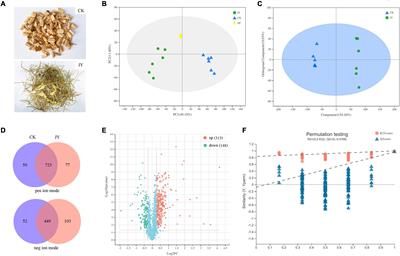 Metabolome analysis, nutrient and antioxidant potential of aerial