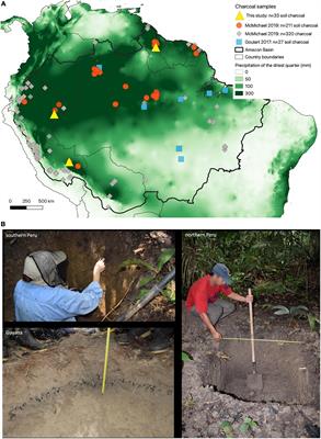 Forest Fire History in Amazonia Inferred From Intensive Soil Charcoal Sampling and Radiocarbon Dating