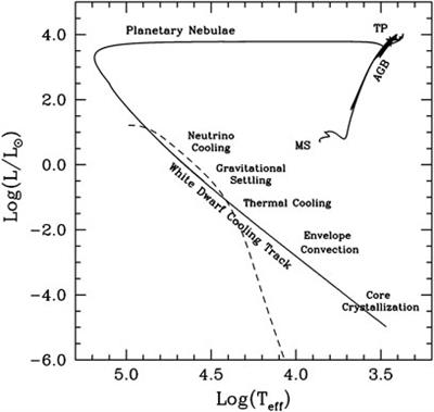 Frontiers | White Dwarfs as Physics Laboratories: Lights and Shadows