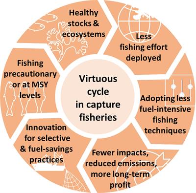 Frontiers  Reducing the Fuel Use Intensity of Fisheries: Through Efficient Fishing  Techniques and Recovered Fish Stocks
