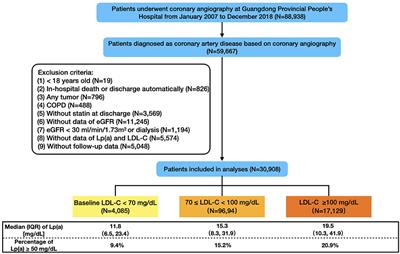 Frontiers  Association of Lipoprotein(a)-Associated Mortality and the  Estimated Glomerular Filtration Rate Level in Patients Undergoing Coronary  Angiography: A 51,500 Cohort Study