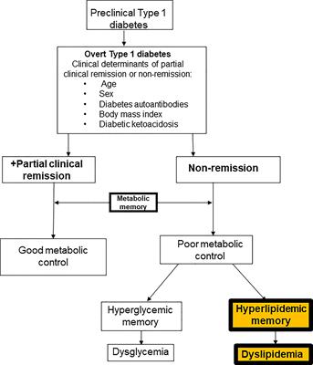 Diabetes Mellitus Type 1 Pathophysiology