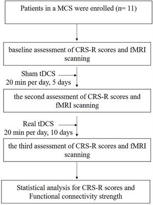 Frontiers  Randomized Controlled Study Evaluating Efficiency of Low  Intensity Transcranial Direct Current Stimulation (tDCS) for Dyspnea Relief  in Mechanically Ventilated COVID-19 Patients in ICU: The tDCS-DYSP-COVID  Protocol