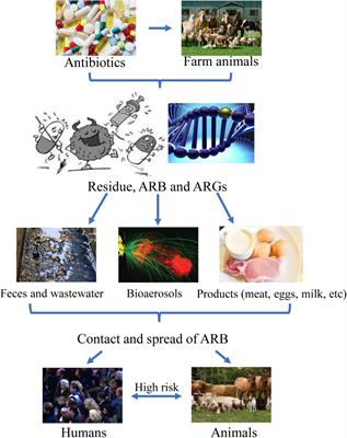 Frontiers | A Review of Current Bacterial Resistance to Antibiotics in Food  Animals