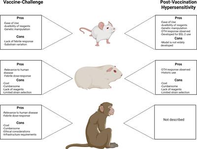 Frontiers | Preclinical Animal Models for Q Fever Vaccine Development Frontiers | Preclinical Animal Models for Q Fever Vaccine Development