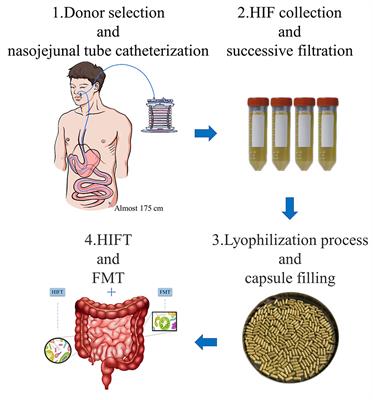 Frontiers Fecal Microbiota And Human Intestinal Fluid Transplantation Methodologies And Outlook