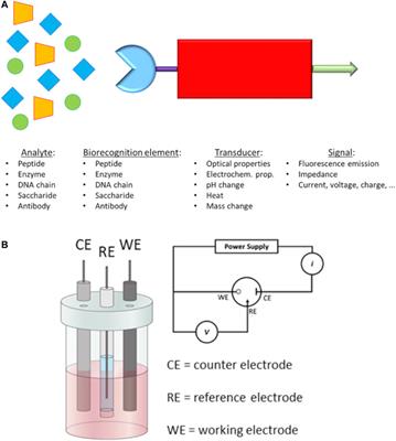 Frontiers Nano Theranostics For The Sensing Imaging And Therapy Of Prostate Cancers