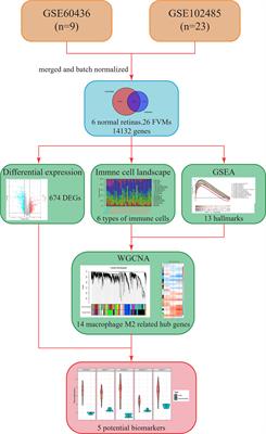 Frontiers Exploring the Retinal Binding Cavity of