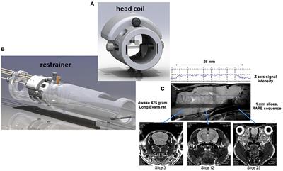 Region-Specific Effects of Nicotine on Brain Activity: A Pharmacological  MRI Study in the Drug-Naïve Rat