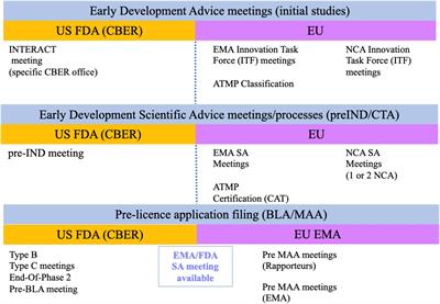 Rocket boosted by FDA alignment on pivotal gene therapy trial