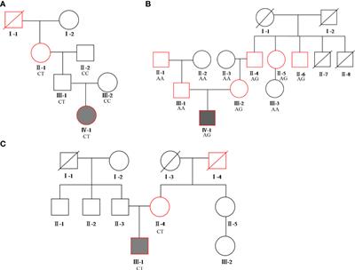 Frontiers | Precision therapy for three Chinese families with ...