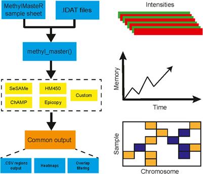Frontiers | MethylMasteR: A Comparison and Customization of Methylation ...