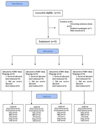 Frontiers  Exercise Intensity and Brain Plasticity: What's the Difference  of Brain Structural and Functional Plasticity Characteristics Between Elite  Aerobic and Anaerobic Athletes?