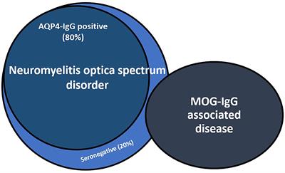 Imaging Surrogates of Disease Activity in Neuromyelitis Optica Allow  Distinction from Multiple Sclerosis