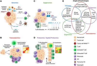 Frontiers Breaking The Immune Complexity Of The Tumor Microenvironment Using Single Cell Technologies
