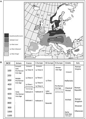 Celtic Warrior and Roman Soldier Comparison Worksheet