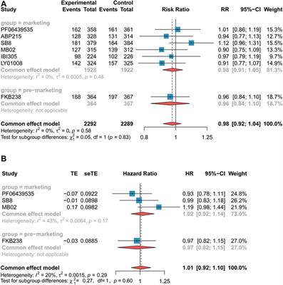 Efficacy and Safety of Bevacizumab Biosimilars Compared With Reference Biologics in Advanced Non-small Cell Lung Cancer or Metastatic Colorectal Cancer Patients: A Network Meta-Analysis