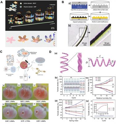 Multifunctional Biosensors Made with Self-Healable Silk Fibroin