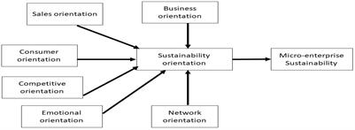 Modeling the Significance of Sustainability Orientation on the Sustainability Performance of Micro-Enterprises in an Emerging Economy