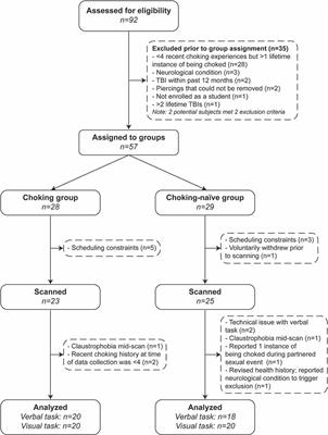 Frontiers | Frequent and Recent Non-fatal Strangulation/Choking During Sex  and Its Association With fMRI Activation During Working Memory Tasks
