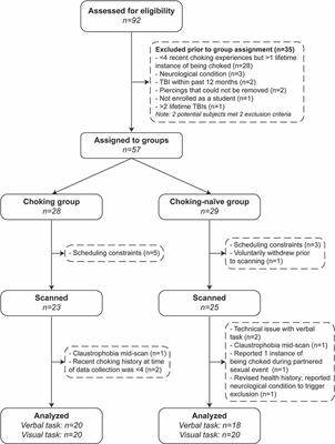 Frontiers  Frequent and Recent Non-fatal Strangulation/Choking During Sex  and Its Association With fMRI Activation During Working Memory Tasks