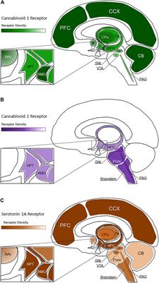 Buy Parkinson's Patients To Receive Cannabidiol Treatment In ... in NC - limited time  thumbnail