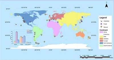 Review of the Impact of Whale Fall on Biodiversity in Deep-Sea Ecosystems