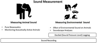 Frontiers  From Soundwave to Soundscape: A Guide to Acoustic