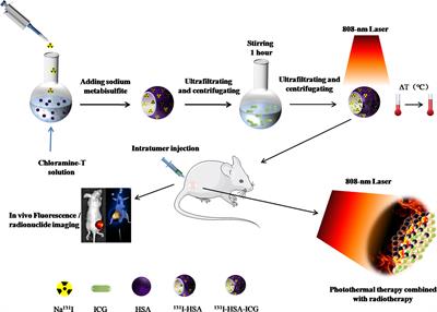 HSA-MnO2-131I Combined Imaging and Treatment of Anaplastic Thyroid