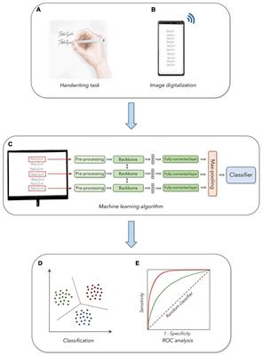 frontiersin.org - Handwriting Declines With Human Aging: A Machine Learning Study