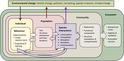 Frontiers | Linking animal behavior to ecosystem change in disturbed  environments